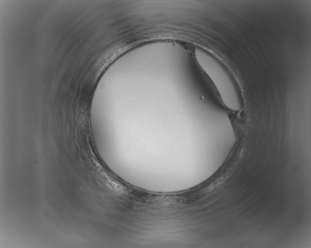 X0000076090993200610202101