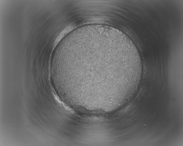 X0000076090994200610202101