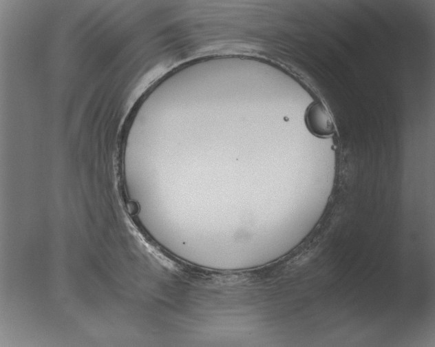 X0000076090997200610202101