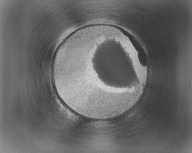 X0000076090998200610202101