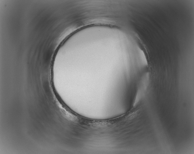 X0000076090999200610202101