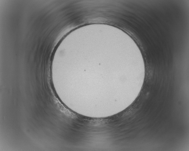 X0000076091000200610202101