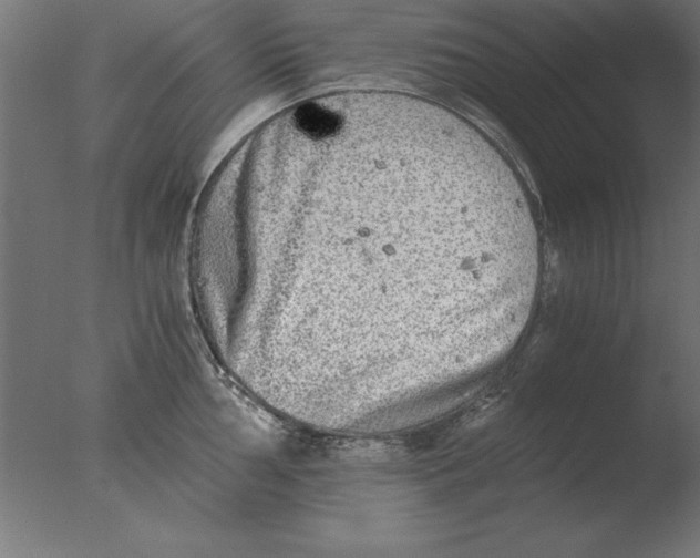 X0000076091002200610202101