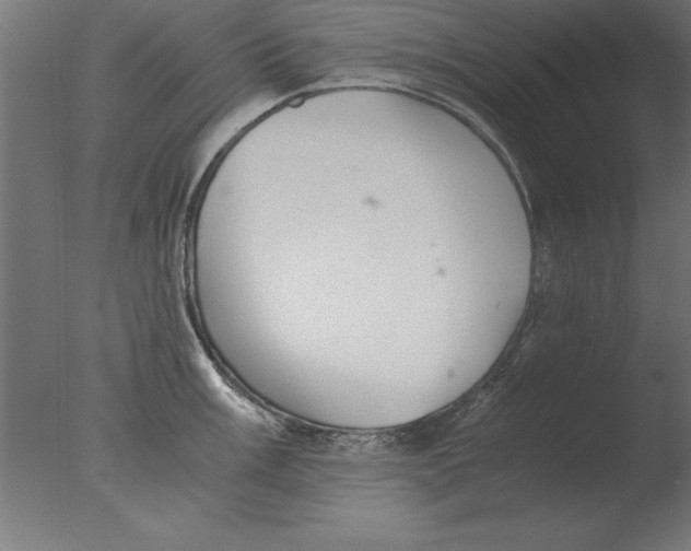 X0000076091003200610202101