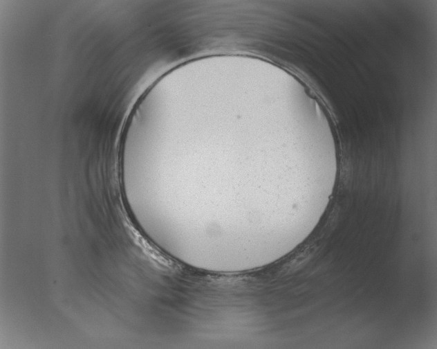 X0000076091004200610202101