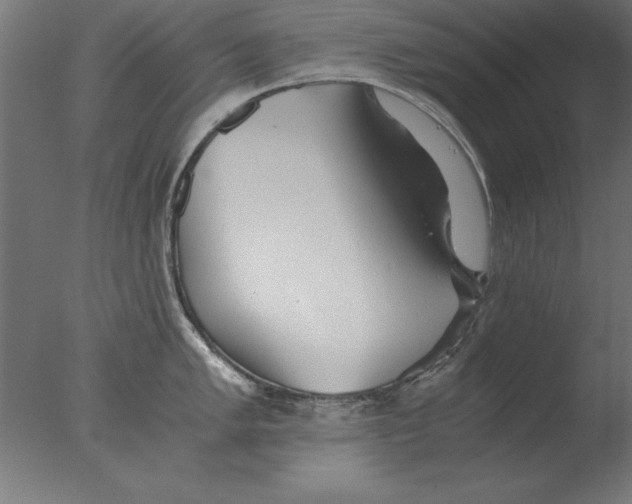 X0000076091005200610202101