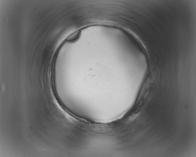 X0000076091007200610202101