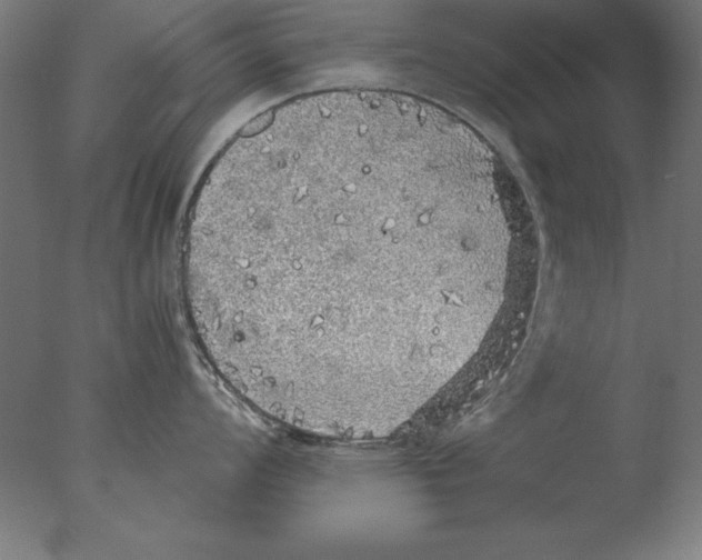 X0000076091008200610202101