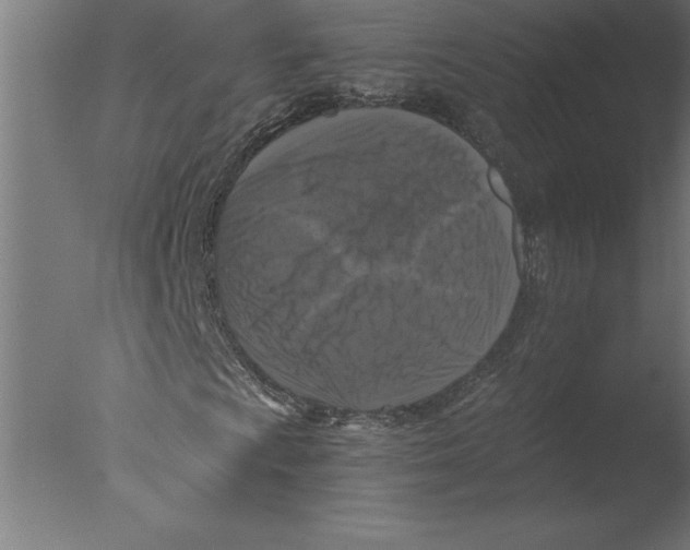 X0000076091009200610202100