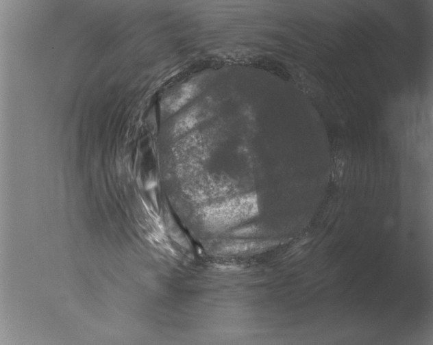 X0000076091010200610202100