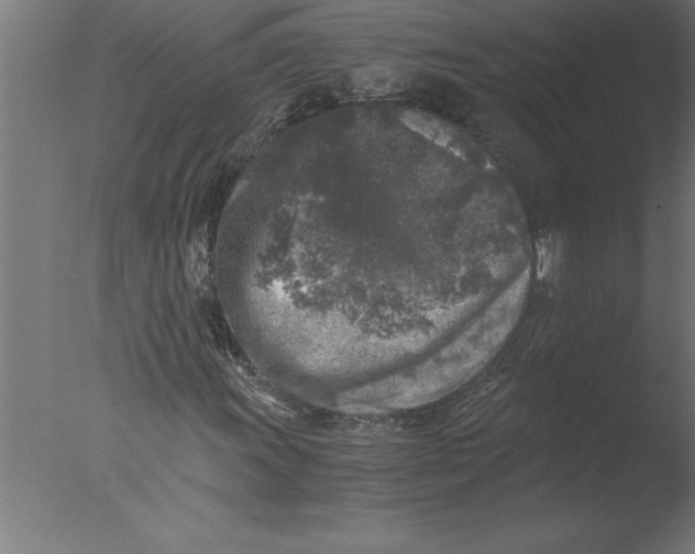 X0000076091011200610202100