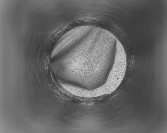 X0000076091014200610202100