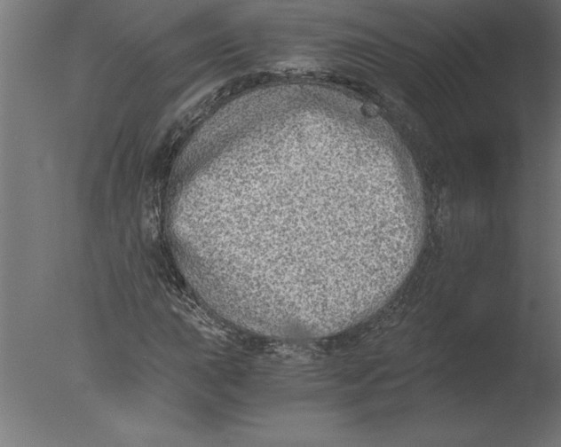 X0000076091015200610202100