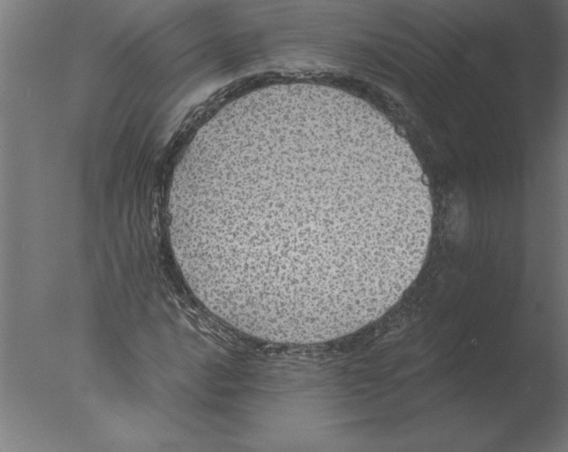 X0000076091016200610202100