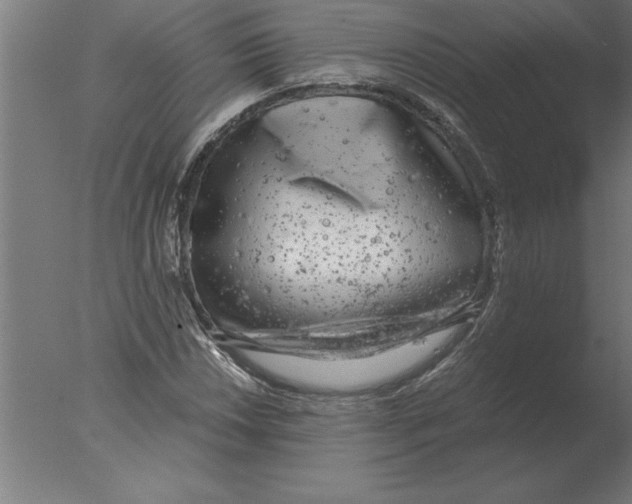 X0000076091018200610202100