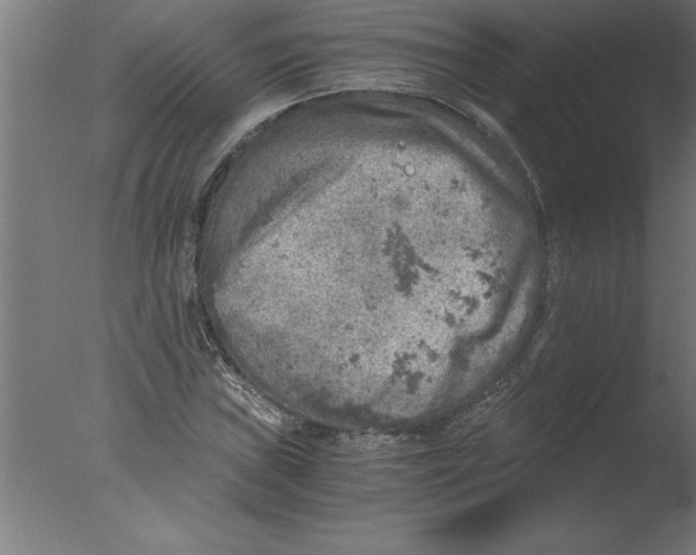 X0000076091019200610202100