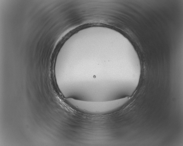 X0000076091020200610202101