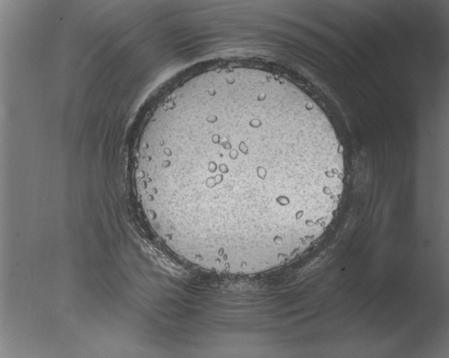 X0000076091021200610202101