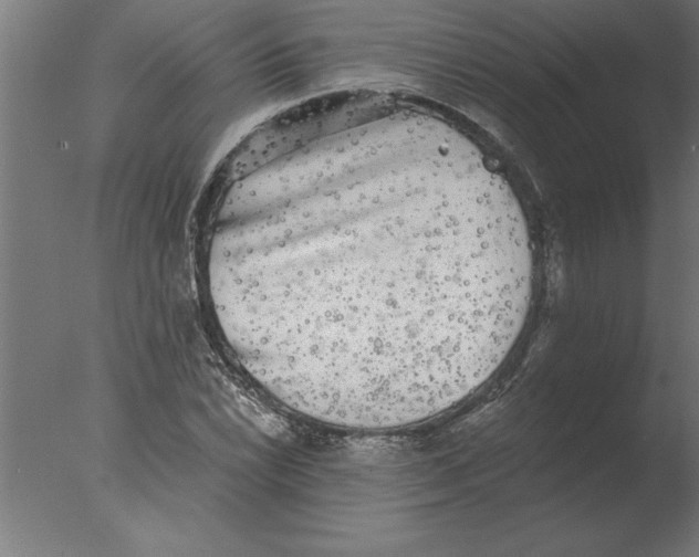 X0000076091022200610202101