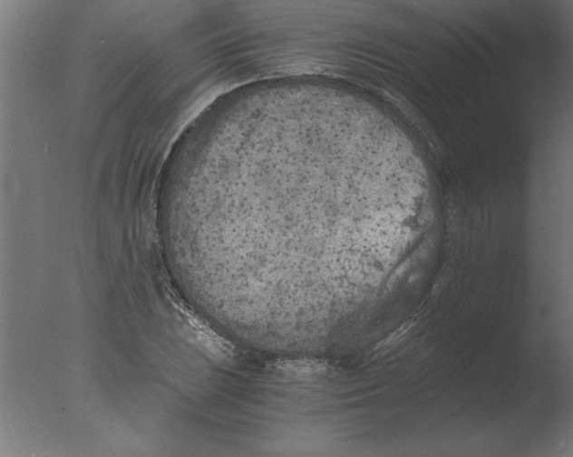 X0000076091023200610202101