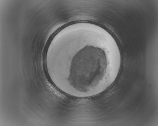 X0000076091024200610202101