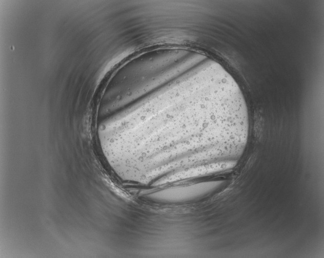 X0000076091026200610202101