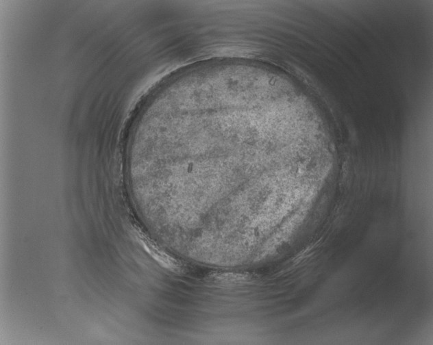 X0000076091027200610202101