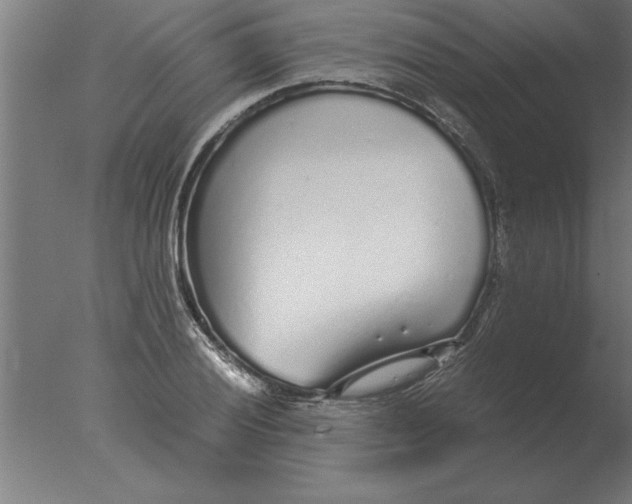 X0000076091028200610202101