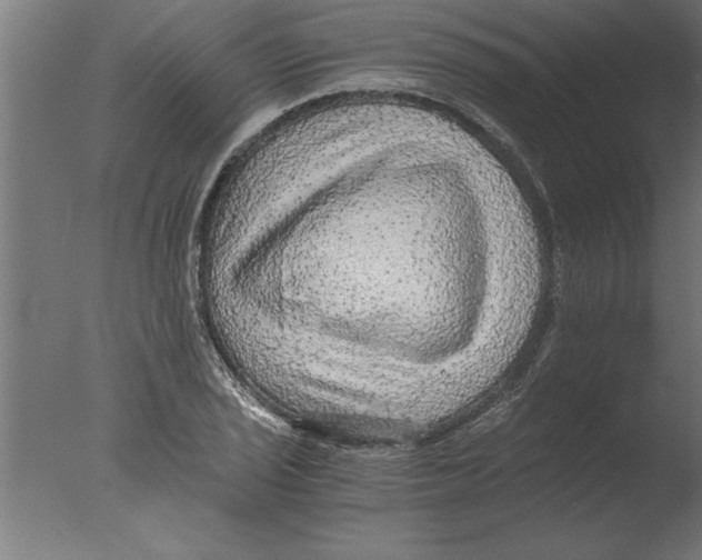 X0000076091029200610202101