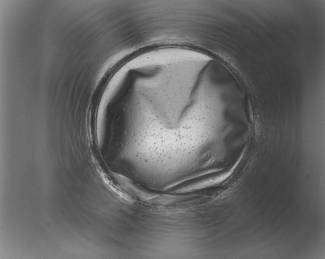 X0000076091030200610202101