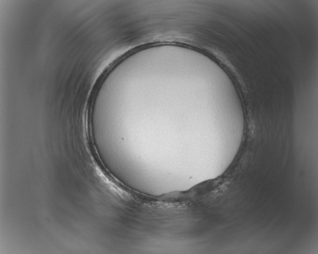 X0000076091032200610202101