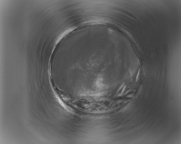 X0000076091034200610202101