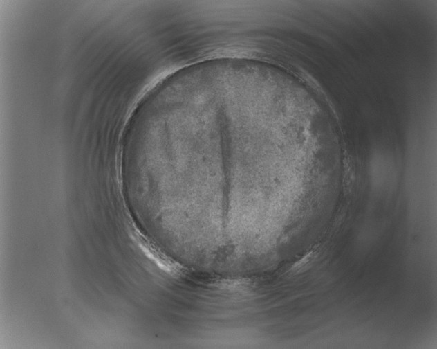 X0000076091035200610202101