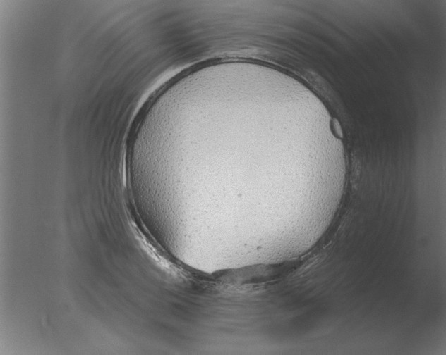 X0000076091036200610202101