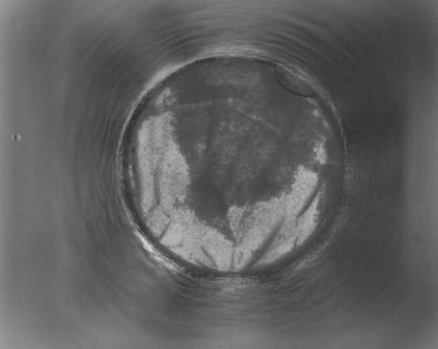 X0000076091037200610202101