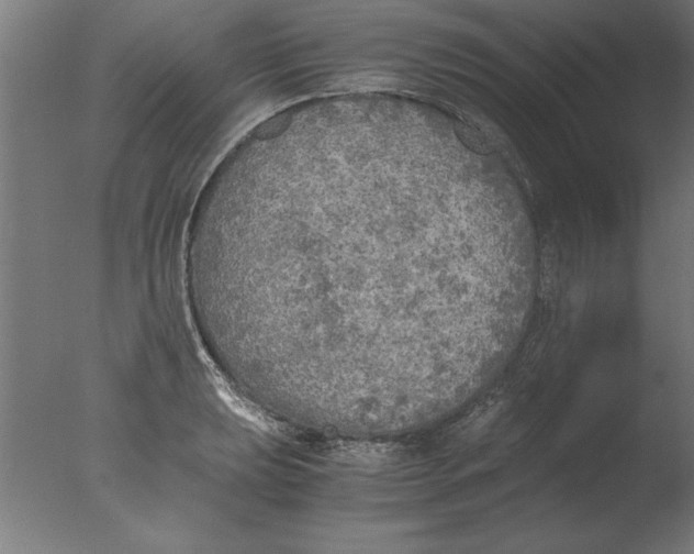 X0000076091039200610202101