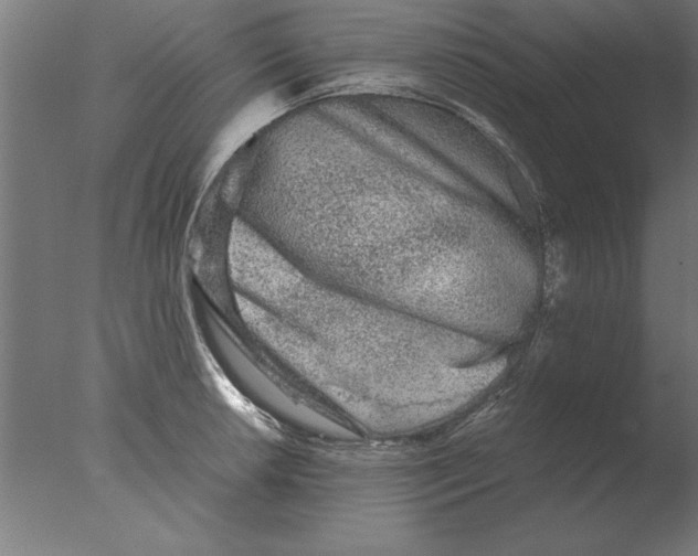 X0000076091042200610202101