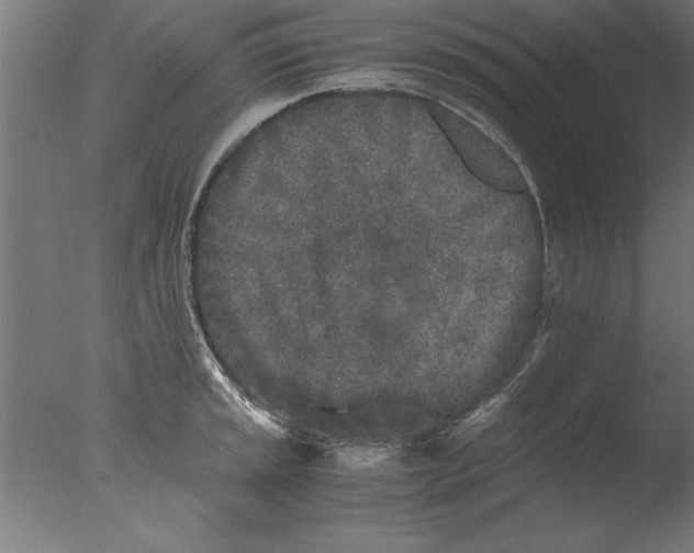 X0000076091045200610202101