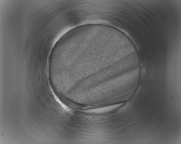 X0000076091046200610202101