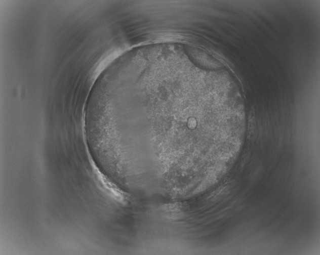 X0000076091047200610202101