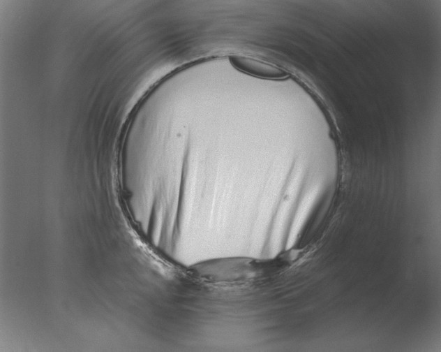 X0000076091048200610202101