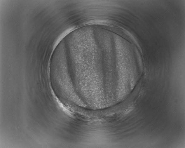 X0000076091050200610202101