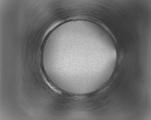 X0000076091053200610202101