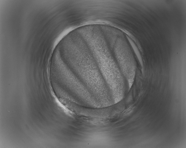 X0000076091054200610202101