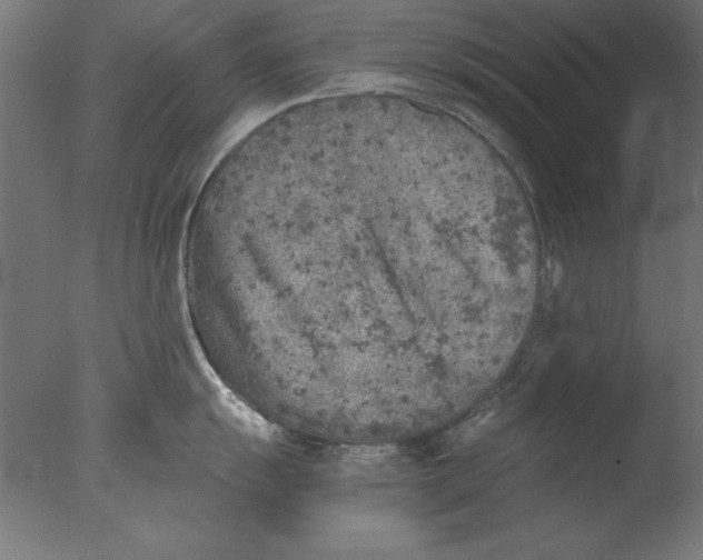 X0000076091055200610202101