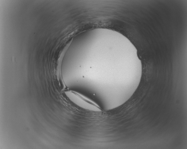 X0000076091058200610202100