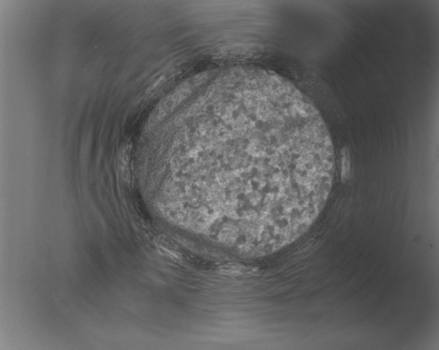 X0000076091059200610202100