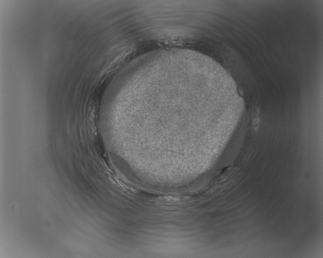 X0000076091060200610202100