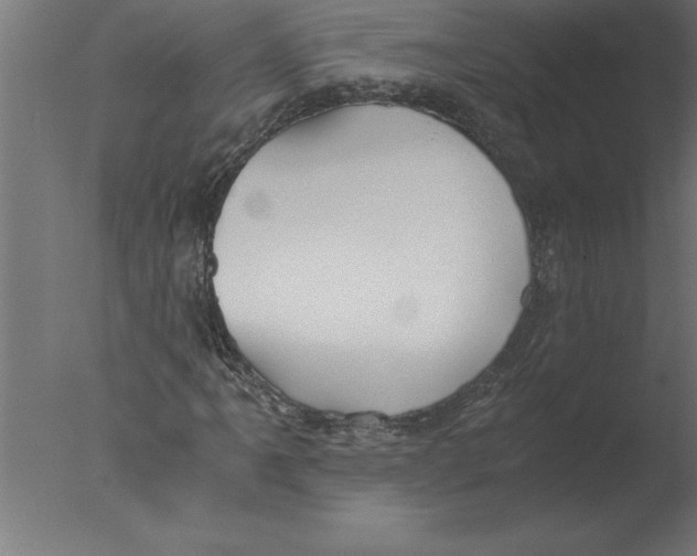 X0000076091061200610202100