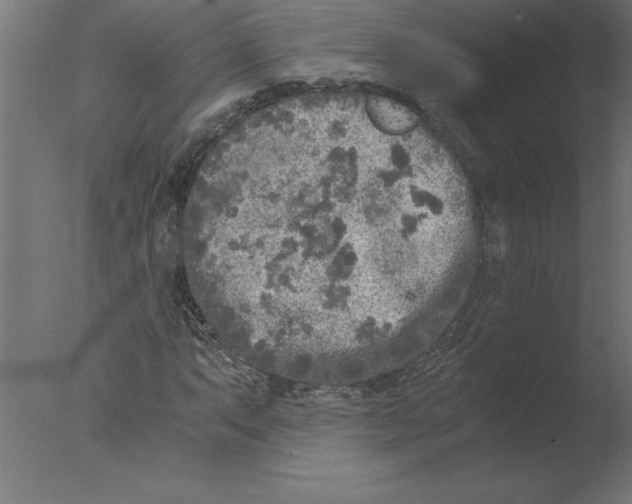 X0000076091063200610202100